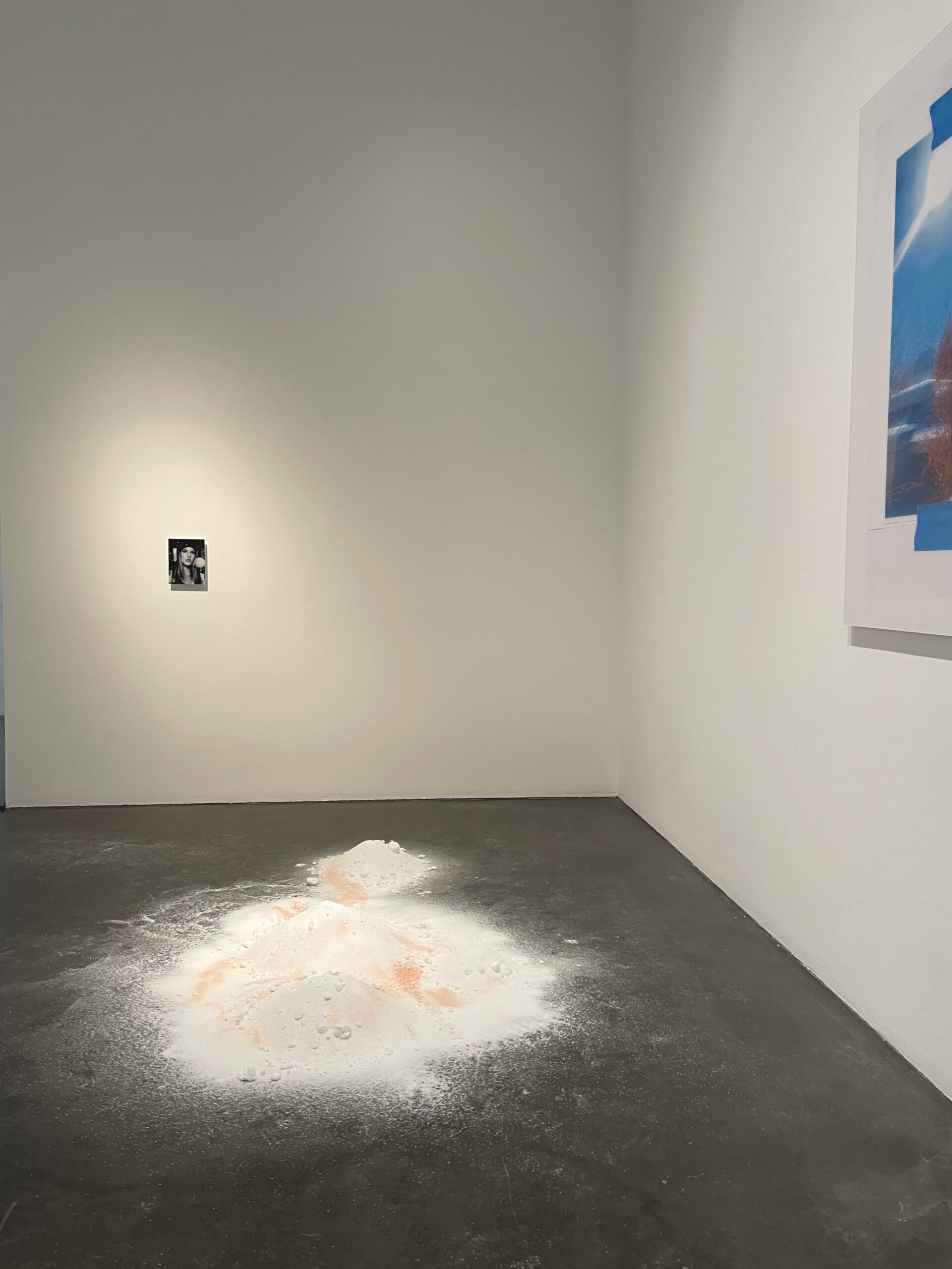 Installation view of Devon Dikeou's The Inconspicuouses at MCA Denver — Aspen Snow, salt spread on the floor of the David Adjaye building, with Stevie and Vision Board on the walls
