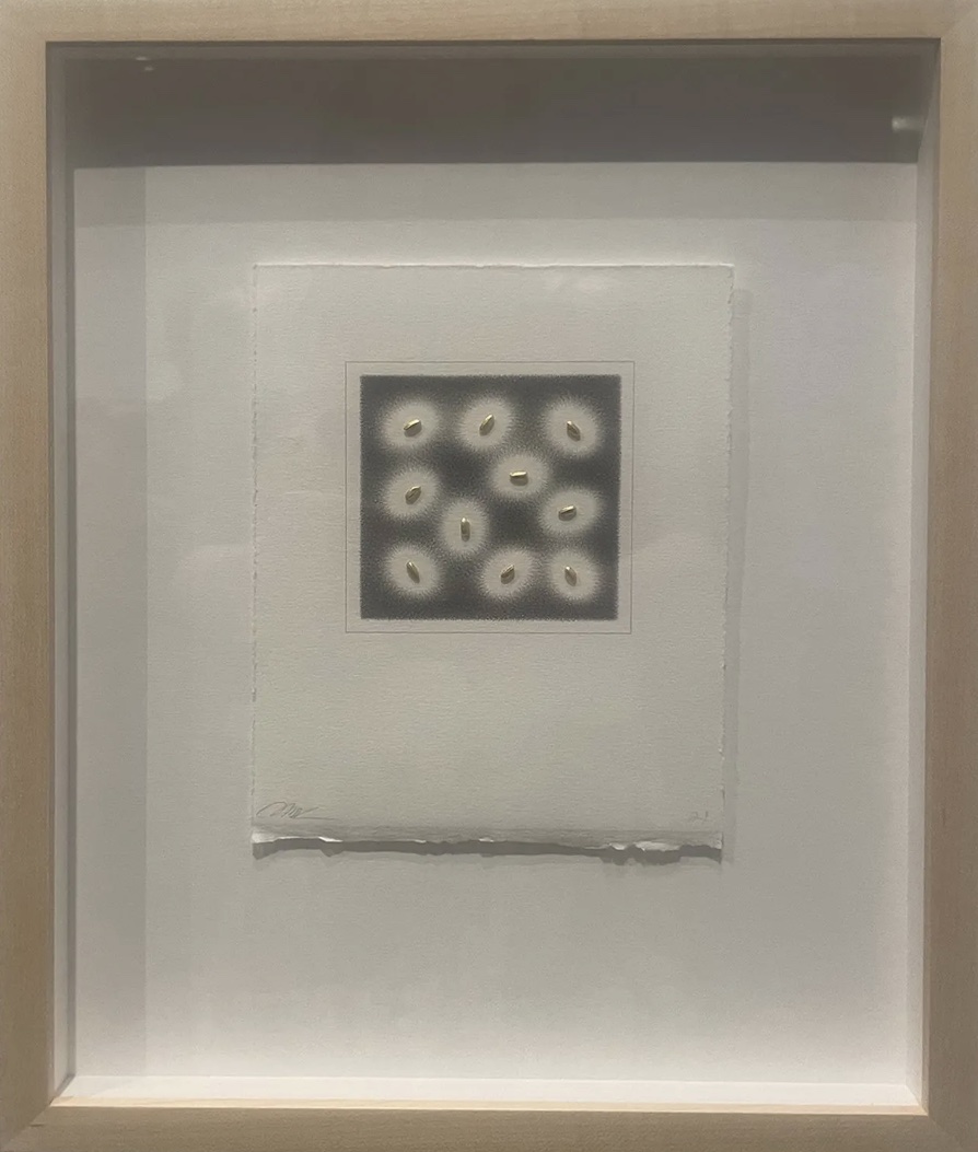 Margaret Kasahara's framed mixed media drawing at MCA Denver — eleven gilded grains of rice arranged in a grid on a dark graphite ground, each surrounded by a halo of light